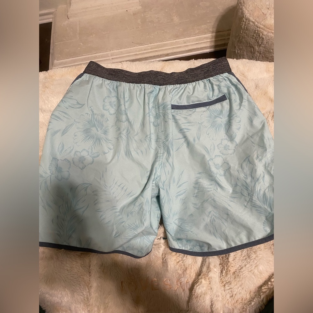 Chubbies - Picture 2 of 3